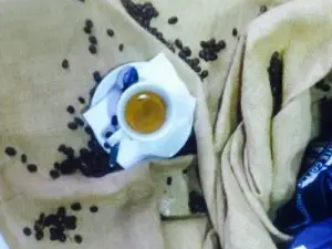 Donatello Cafe