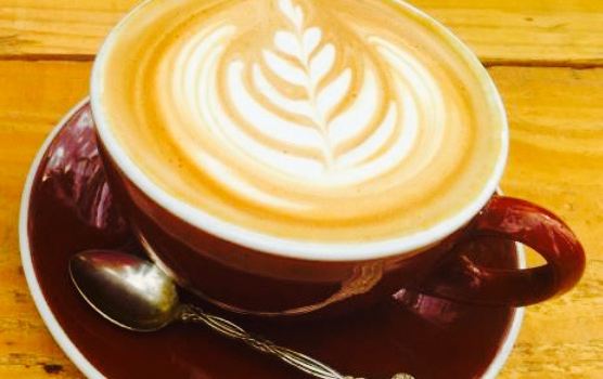 DeGroot Coffee Co