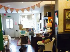 The Curious Tearoom