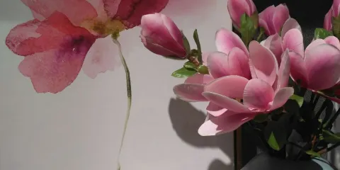 金車員山蘭花園