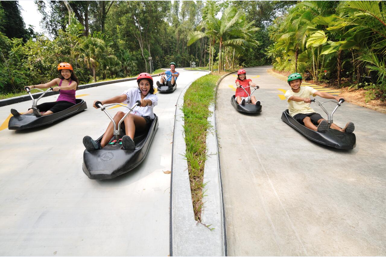 Best Time To Visit Luge Sentosa