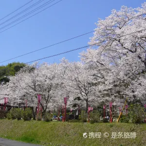 板列児童公園