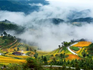 자작계 계단식 논