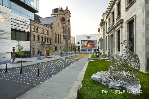 Museo delle Belle Arti di Montreal (Musee des Beaux-Arts)