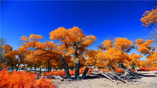 Damo Huyang Scenic Area