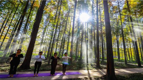 鐵山寺國家森林公園