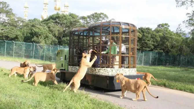 3_六福村主題樂園