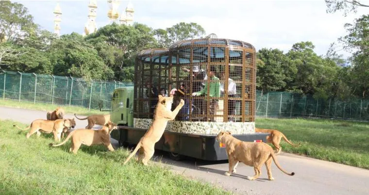3_六福村主題遊樂園