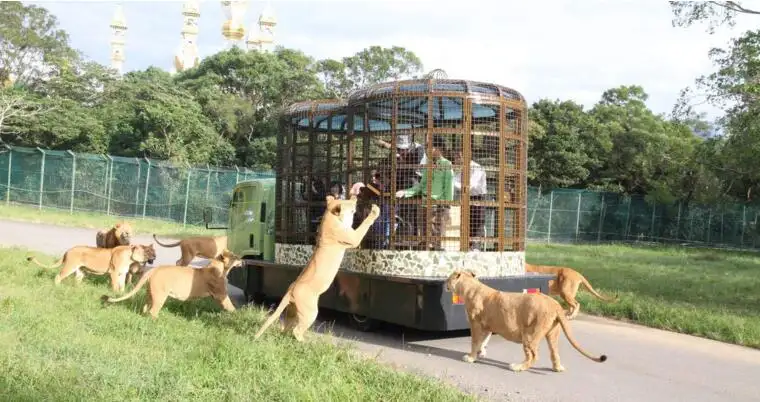 5_六福村主題遊樂園