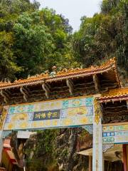 Sam Poh Tong Temple