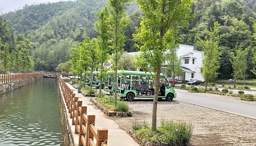 尖尾峽森林漂流