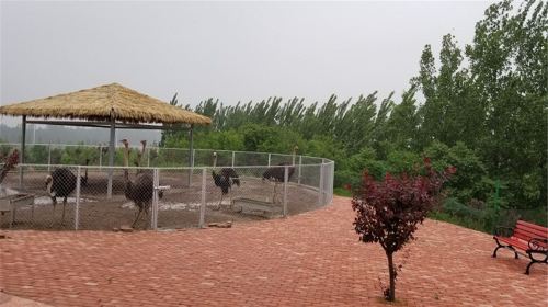 Zhuchengshi Zoo