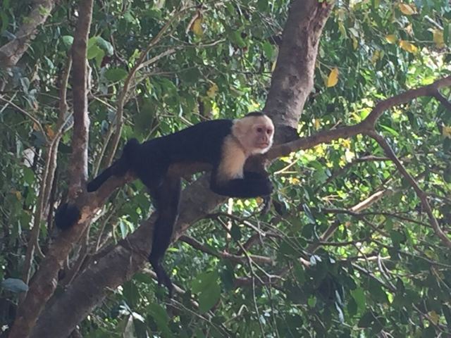 Manuel Antonio National Park