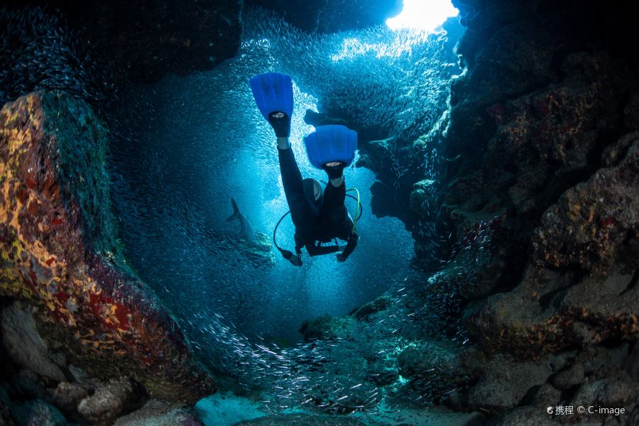 Alliance to Grand Cayman Flights