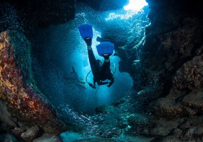 Île Grand Cayman