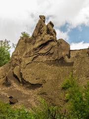 Canyon Pumice Forest