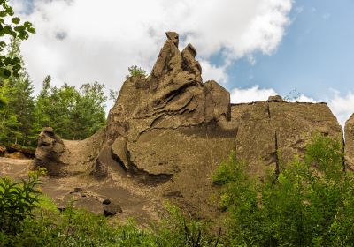 Canyon Pumice Forest