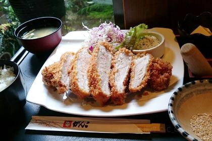 Tonkatsu Ganko Nara