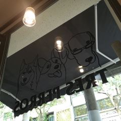TRES PERROS User Photo