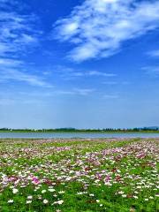 Gucheng Lake Slow City