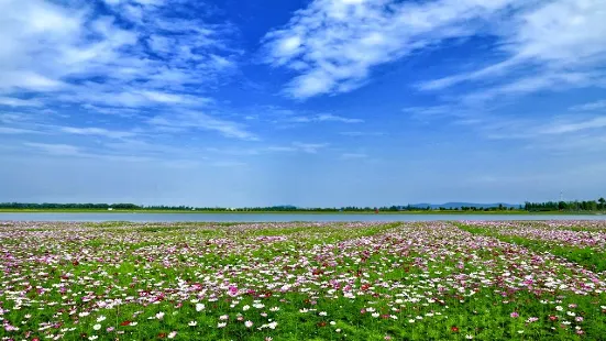 구청후수이슬로청