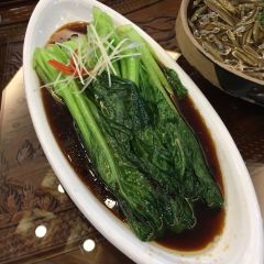 TU GU DA PAI DANG User Photo