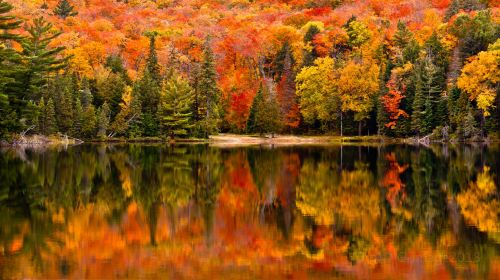 Algonquin Provincial Park