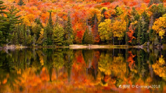 1-day tour to Algonquin Provincial Park and Dr. Norman Bethune Memorial House in Toronto, Canada