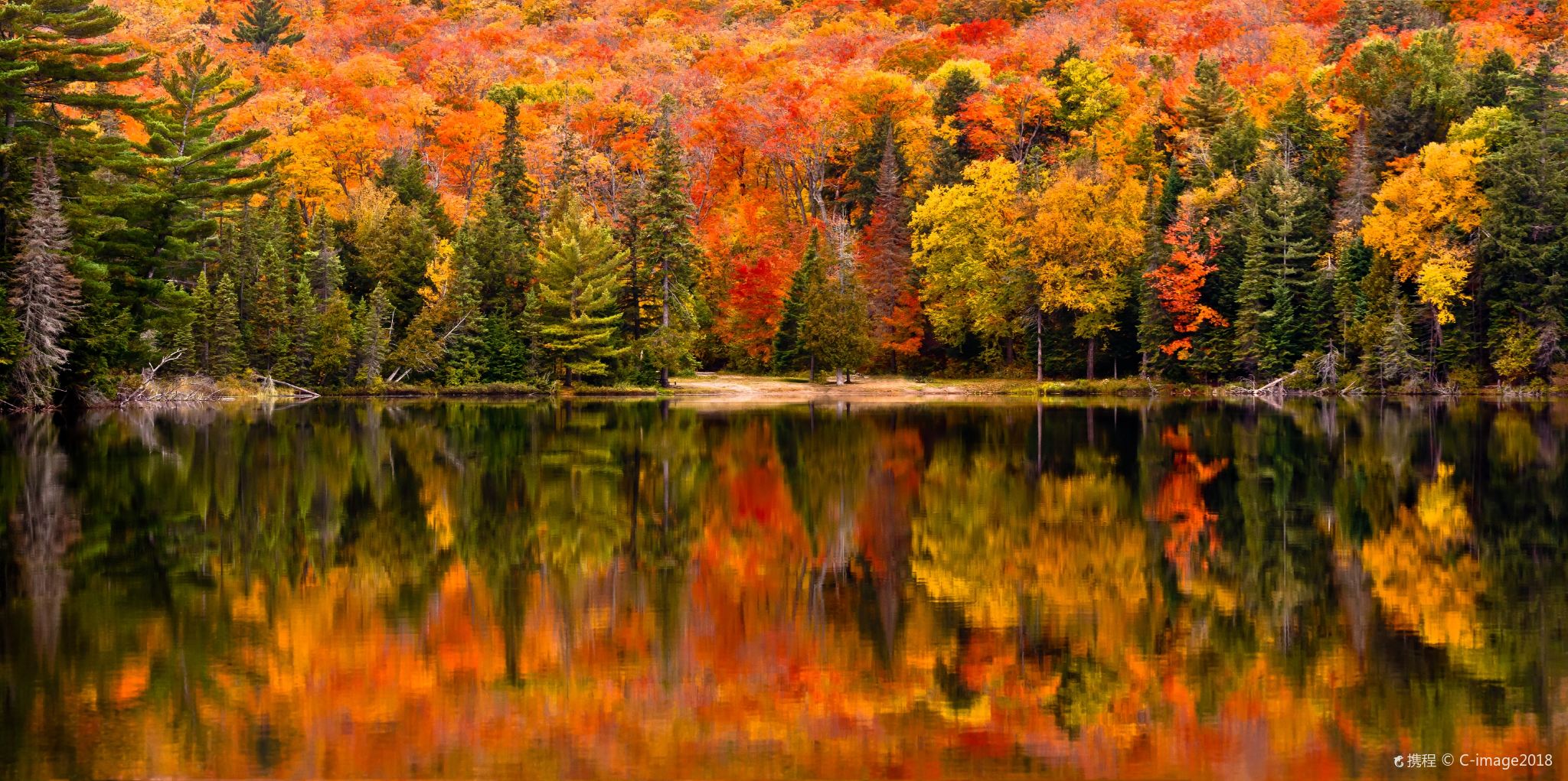 1-day tour to Algonquin Provincial Park and Dr. Norman Bethune Memorial House in Toronto, Canada