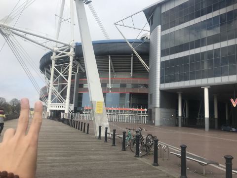 Millennium Stadiumのレビュー Millennium Stadiumのチケット Millennium Stadiumの割引 Millennium Stadiumの交通機関 所在地 営業時間 Millennium Stadium周辺の観光スポット ホテル グルメ Trip Com Millennium Stadiumのレビュー Millennium Stadiumのチケット Millennium Stadiumの割引 Millennium Stadiumの交通機関 所在地 営業時間 Millennium Stadium周辺の観光スポット ホテル グルメ Trip Com