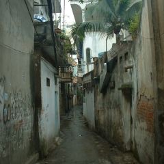 Quan Bia Cau Cang Ca User Photo