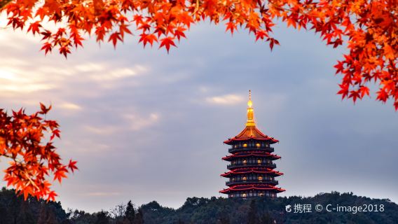항저우 일일투어: 서호(West Lake), 링인쓰(영은사), 레이펑타(Leifeng Pagoda), 롱징 차밭(Longjing Tea Fields) 탐방
