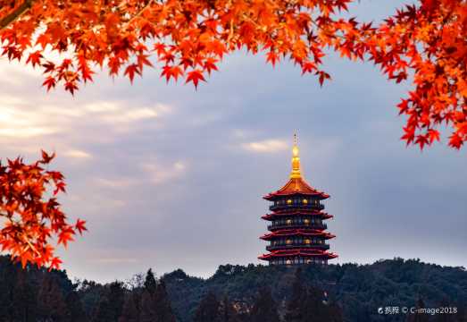 Hangzhou Day Tour to West Lake, Lingyin Temple, Leifeng Pagoda, Longjing tea fields