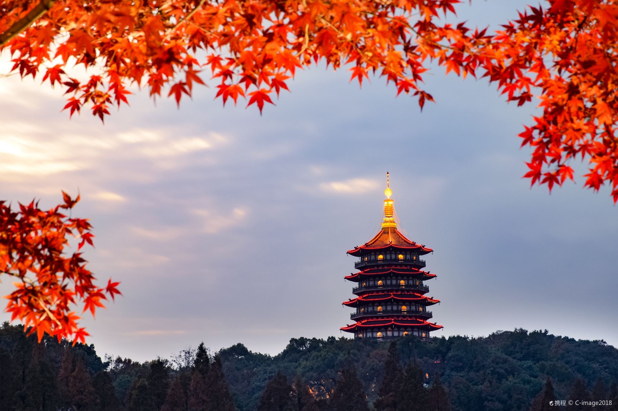 Hangzhou Day Tour to West Lake, Lingyin Temple, Leifeng Pagoda, Longjing tea fields