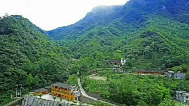 Hotels in Wufeng
