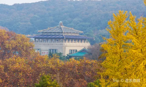 Wuhan University
