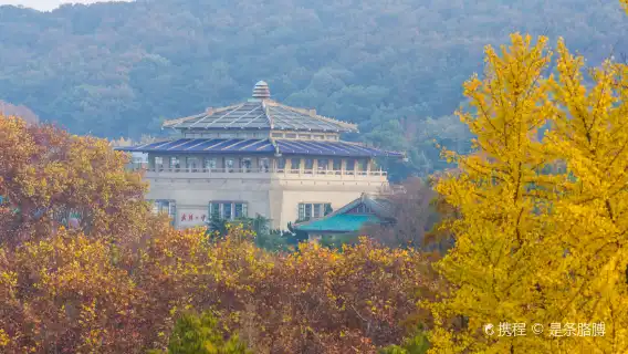 Yellow Crane Tower + Provincial Museum + East Lake + Qingchuan Pavilion + Hankou River Beach guide and translation attractions adjustable G
