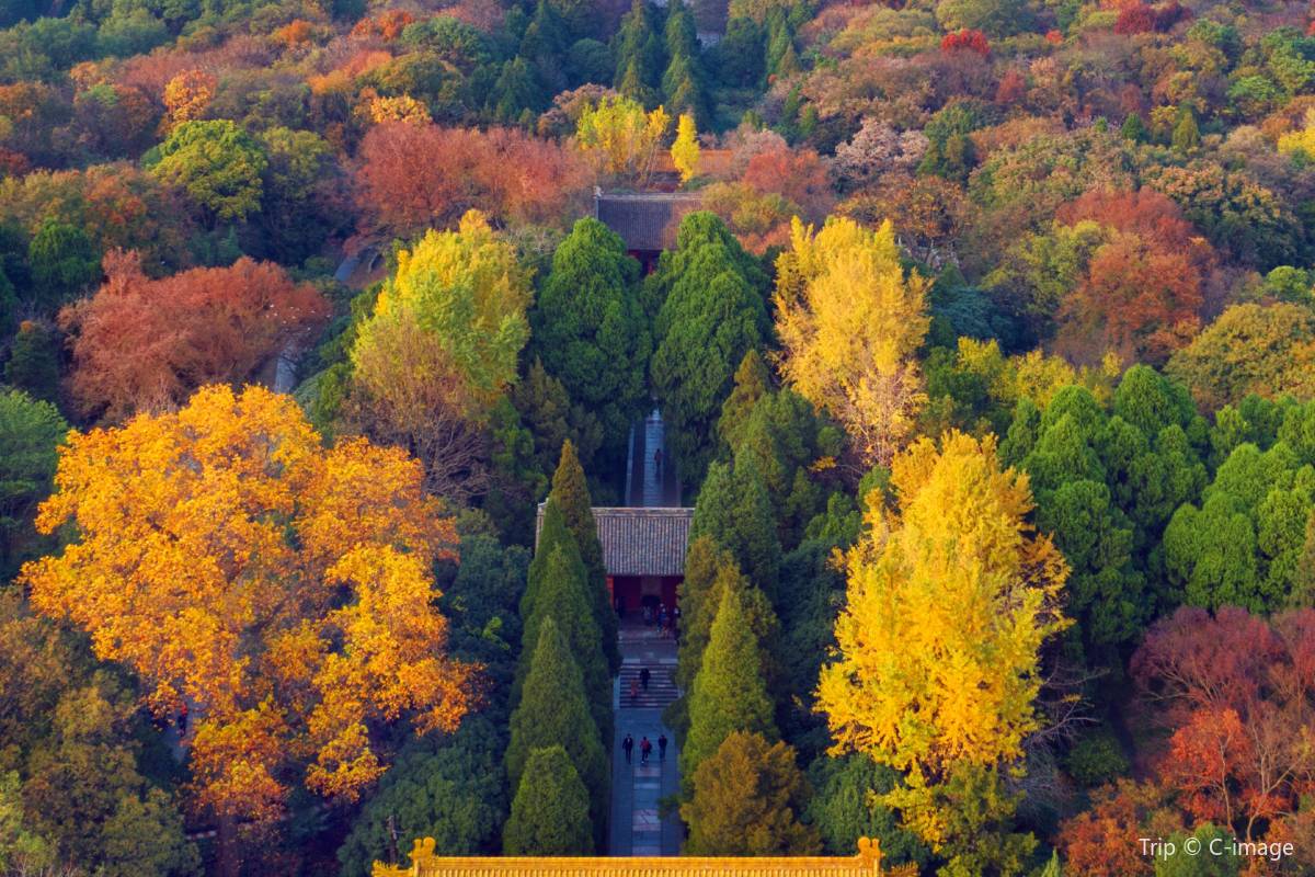 明孝陵のおすすめ観光ルート