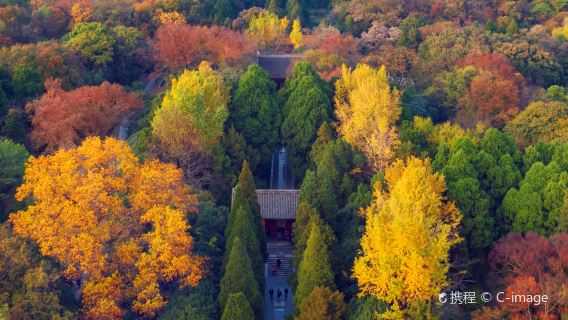 【精緻私享私人導覽】南京明孝陵專業導遊120分鐘深度人員導覽+高清耳麥---帶您探秘朱元璋和馬皇后的陵墓