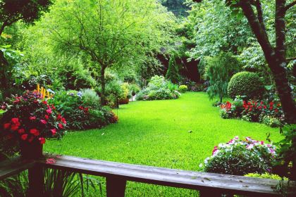 南莊山芙蓉咖啡