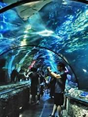 Sea World Ancol