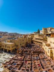 Fes Médina