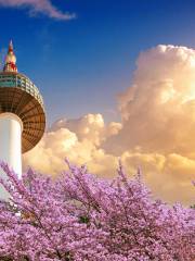 N Seoul Tower