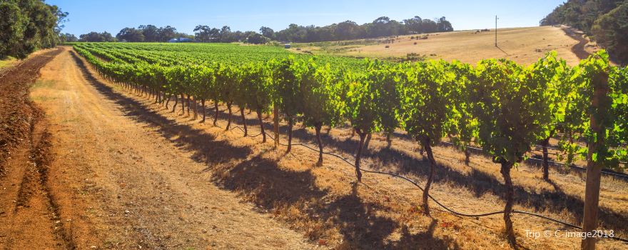 Margaret River