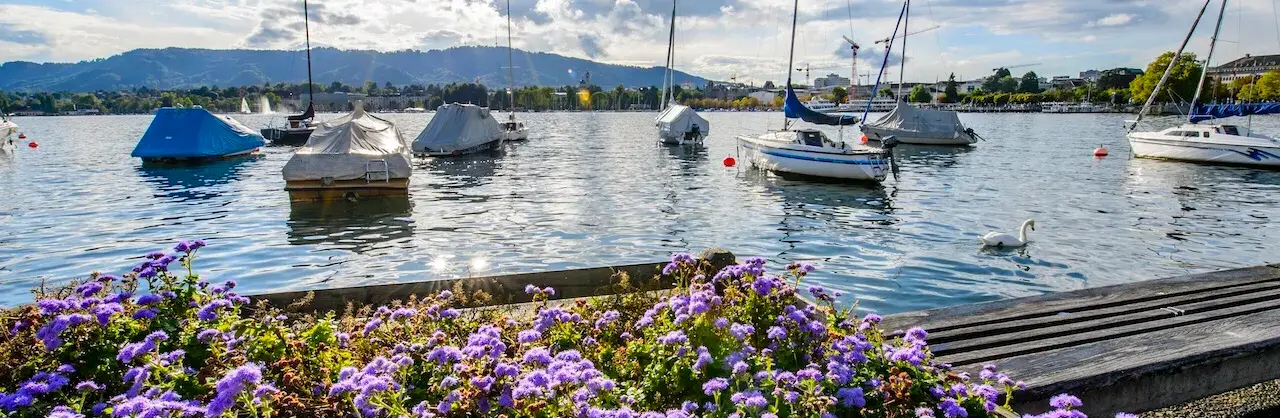 Blumenschau Attraktionen