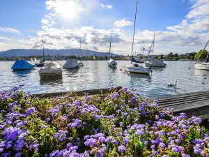 Lake Zurich