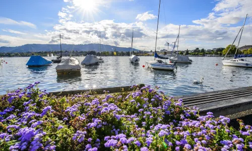 Lake Zurich