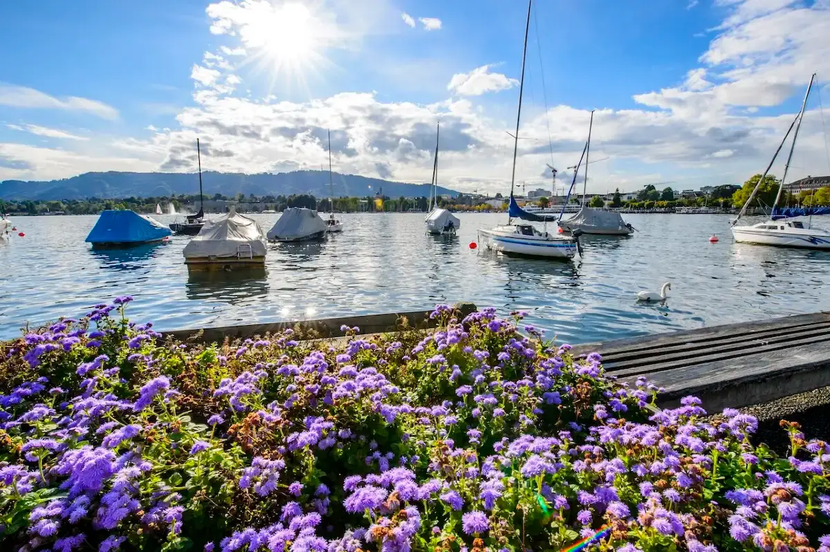 Lake Zurich