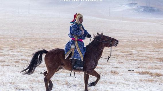Дамаоци
