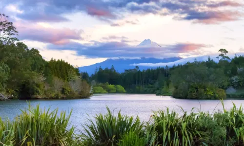 Taranaki
